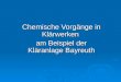 Chemische Vorgänge in Klärwerken am Beispiel der Kläranlage Bayreuth