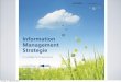 Information Management Strategie Leitfaden
