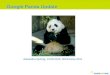 Erste Informationen und Auswertungen zum Panda Update in Deutschland