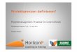 Projektmanagement Prozesse im Unternehmen   HorizonP und EGOS Innsbruck märz 2014