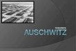 Auschwitz   Präsentation
