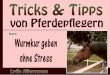 Tricks & Tipps von Pferdepflegern - Band 3