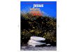 Werner Heukelbach Jesus Unsere Einzige Chance Bibel Gott Jesus