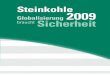 Steinkohle Jahresbericht 2009