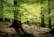 Ökosystem Wald 10 Referat