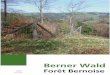 Berner Wald 03-11