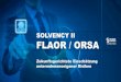 SAS Webinar: Solvency 2 ORSA / FLAOR