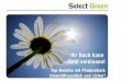 Select Green Photovoltaik Anlagenbau 26012011