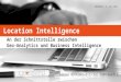 Location Intelligence - An der Schnittstelle zwischen Geo-Analytics und Business Intelligence