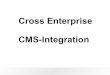 Cross enterprise CMS integration
