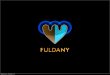 Fuldany - Status und Roadmap (06.02.2013)