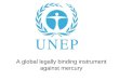 UNEP - A global legally binding instrument against mercury