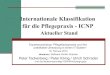 Icnp 2.0 Expertengespräch Bremen 2010-02-19