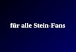 Stein uli news