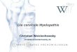 The cervical myelopathy