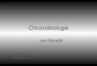 Genregulation Chronobiologie