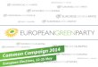 Johannes Hillje: Common Campaign 2014 der Europäischen Grünen Partei