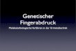 Biologie Genetischer Fingerabdruck