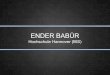Ender Babür - Crowdfunding