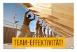 Teameffektivität - Blue Change Solutions