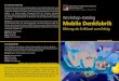Mobile Denkfabrik - Serbisches Akademikernetzwerk Nikola Tesla e.V