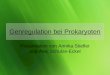Genregulation bei Prokaryoten-Pr¤sentation von Annika und Alec.ppt