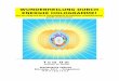 Wunderheilung Durch Energie Hologramme - Buch(2)