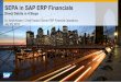 SEPA in ERP Financials