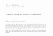 Offener Brief an Daniel Goldhagen - Horst Mahler