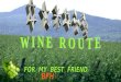 Route Du Vin Alsace