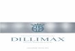 6.1.3. Dillimax Tech Info