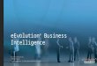 eEvolution Business Intelligence
