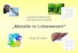 Experimentalvortrag Anorganische Chemie „Metalle in Lebewesen“ Birgit Schubert Ca 2+