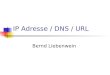 IP Adresse / DNS / URL