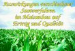 Auswirkungen verschiedener Saatverfahren im Maisanbau auf Ertrag und Qualität