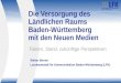Die Versorgung des Ländlichen Raums Baden-Württemberg  mit den Neuen Medien
