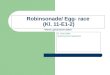 Robinsonade/ Egg- race  (Kl. 11-E1-2) -Thema: galvanische Zellen-
