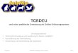TGRDEU und seine praktische Umsetzung als Online-Erfassungssystem