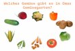 Welches Gemüse gibt es  in  Omas Gemüsegarten ?