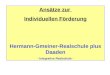 Ans¤tze zur  Individuellen F¶rderung Hermann-Gmeiner-Realschule plus Daaden