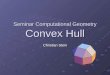 Seminar Computational Geometry Convex Hull