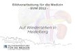 Bildverarbeitung für die Medizin  - BVM 2013 -