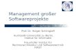 Management großer Softwareprojekte