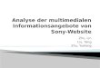 Analyse  der multimedialen Informationsangebote von Sony-Website