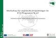 THEMEN ETZ-Programme  Rahmenbedingungen für Projekte  Projektstruktur