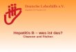 Hepatitis B – was ist das? Chancen und Risiken