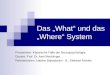 Das „What“ und das „Where“ System