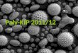 Paly-KIP 2011/12