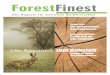 ForestFinance Magazin 1/2008
