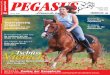 Pegasus-fs 06/2011